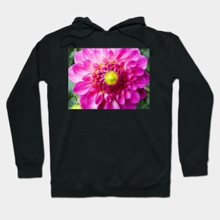 Pink Dahlia Bud Hoodie